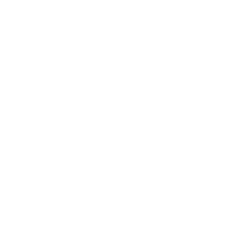 Porting & Live Ops icon